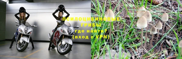амф Инсар