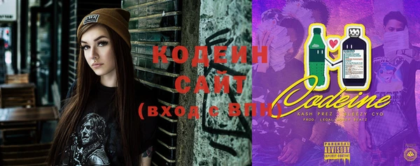 МДПВ Иннополис